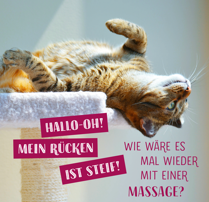 Gezeigt wird eine Innen- oder Zusatzansicht von „Die ganze Wahrheit über deine Katze“. Im Fokus liegt eine entspannte, braun-getigerte Katze, die auf einem Kratzbaum liegt und dabei auf dem Rücken liegt. Die Farbgestaltung umfasst lebendige Rottöne für die Sprechblasen mit den Texten „HALLO-OH! MEIN RÜCKEN IST STEIF!“ und „WIE WÄRE ES MAL WIEDER MIT EINER MASSAGE?“, die in einer verspielten Typografie gehalten sind, was den humorvollen Ton des Inhalts unterstreicht.