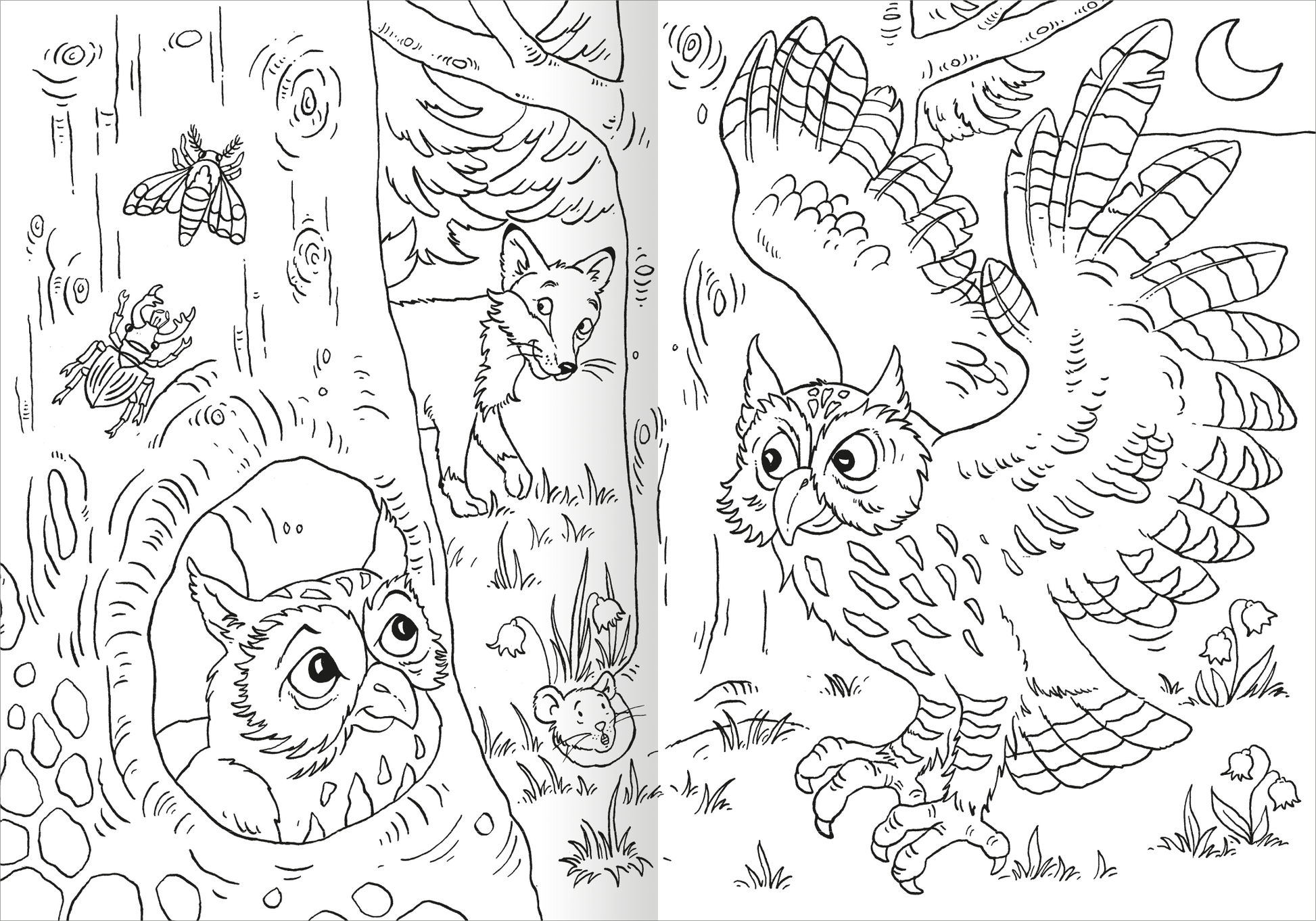 Gezeigt wird eine Innen- oder Zusatzansicht von „Das superdicke Malbuch – Tiere“. Die Illustration zeigt eine Waldszene mit einer Eule im Vordergrund, die auf ihr Nest im Baum zufliegt, und einem Fuchs im Hintergrund. Umgeben von Pflanzen und weiteren Tieren sind die Konturen fein und detailreich gezeichnet. Die Farbgebung ist in Schwarz-Weiß gehalten, ideal für Ausmalen.