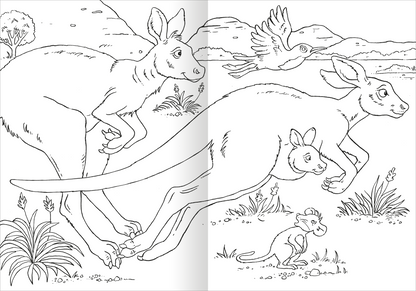 Gezeigt wird eine Innen- oder Zusatzansicht von „Das superdicke Malbuch – Tiere“. Die Abbildung zeigt eine Szene mit zwei hüpfenden Kängurus in einem natürlichen Umfeld, umgeben von Pflanzen, einem Vogel und einer staunenden Maus. Die Strichzeichnungen sind klar und einfach gehalten, wodurch die Tiere und Details gut erkennbar sind. Die Komposition bietet viel Raum zum Ausmalen, mit einem klaren Fokus auf die Tiercharaktere in einer spielerischen, einladenden Atmosphäre.