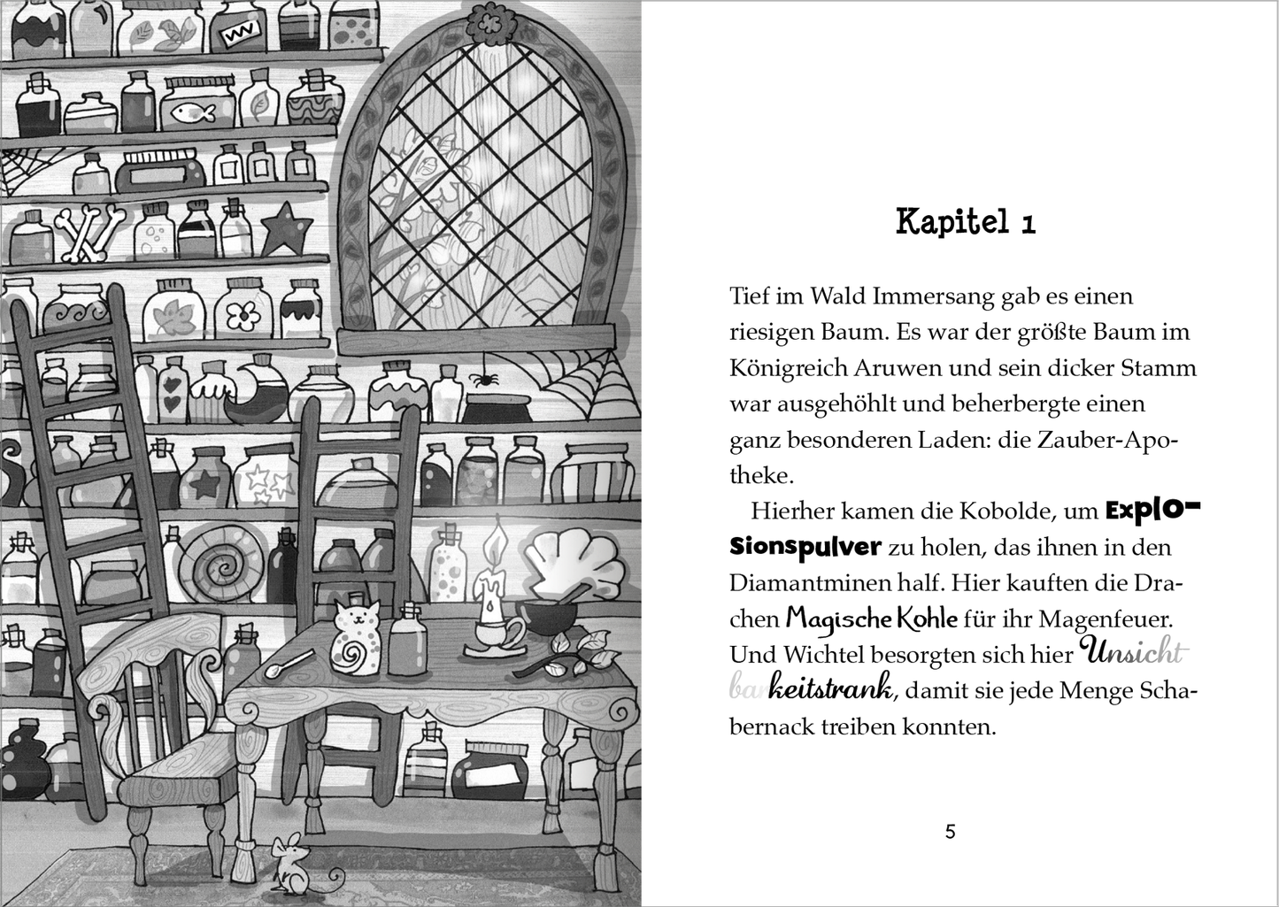 Gezeigt wird eine Innen- oder Zusatzansicht von „Der kleine Magier – Rettung für das Wasserpferd“. Die Abbildung zeigt eine zauberhafte Apotheke mit Regalen voller bunter Fläschchen und Töpfe, die geheimnisvolle Zutaten beinhalten. Im Vordergrund stehen zwei Holzleitern, die zu den oberen Regalen führen. Ein großer, gotischer Fensterbogen sorgt für Licht und zeigt einen fantasievollen Ausblick. Die Typografie ist verspielt, mit hervorgehobenen Elementen in Schwarz und Weiß.
