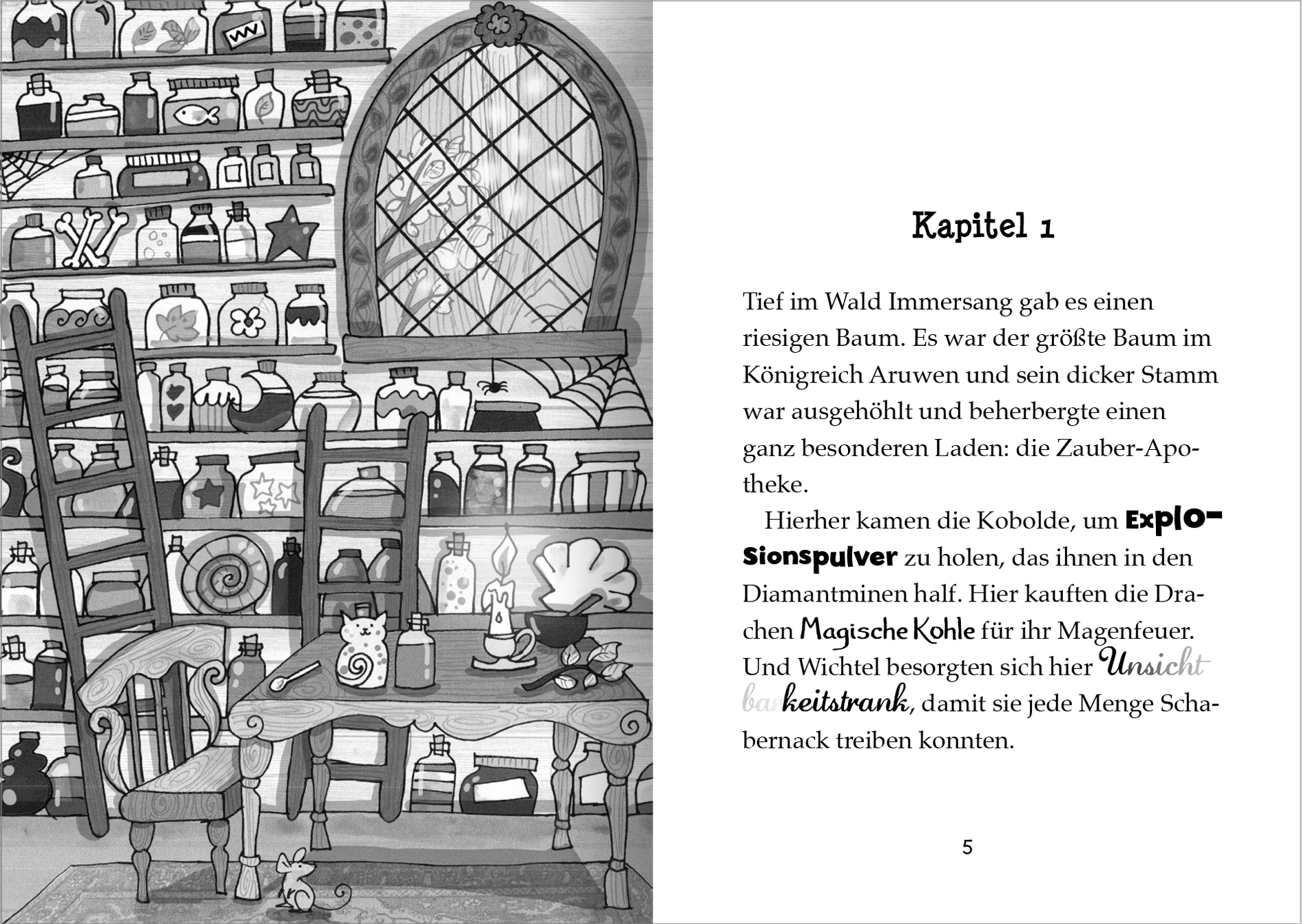 Gezeigt wird eine Innen- oder Zusatzansicht von „Der kleine Magier – Rettung für das Wasserpferd“. Die Abbildung zeigt eine zauberhafte Apotheke mit Regalen voller bunter Fläschchen und Töpfe, die geheimnisvolle Zutaten beinhalten. Im Vordergrund stehen zwei Holzleitern, die zu den oberen Regalen führen. Ein großer, gotischer Fensterbogen sorgt für Licht und zeigt einen fantasievollen Ausblick. Die Typografie ist verspielt, mit hervorgehobenen Elementen in Schwarz und Weiß.