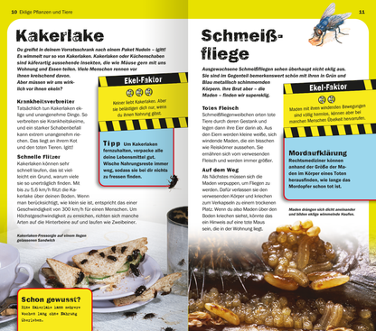 Gezeigt wird eine Innen- oder Zusatzansicht von „Die 100 ekligsten Dinge der Welt“. Die Doppelseite präsentiert das Kapitel über Kakerlaken und Schmierfliegen. Auf der linken Seite hebt ein gelbes Farbschema den Titel „Kakerlake“ hervor, ergänzt durch informative Textboxen in Schwarz und Blau. Die rechte Seite befasst sich mit „Schmeißfliegen“, ebenfalls in auffälliger Farbgebung. Grafiken und Fotografien der Tiere sind klar angeordnet, die Schrift ist gut lesbar und...
