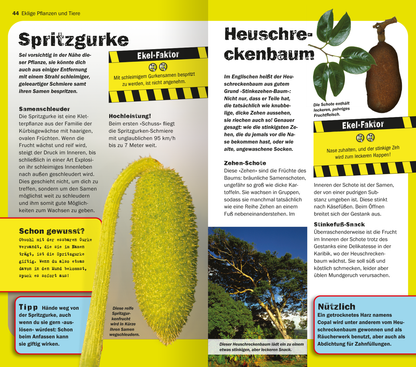Gezeigt wird eine Innen- oder Zusatzansicht von „Die 100 ekligsten Dinge der Welt“. Auf der Doppelseite sind zwei Pflanzen abgebildet: links die Spritzgurke mit länglichem, gelbgrünem Fruchtansatz und einer wachsartigen Oberfläche, rechts der Heuschreckenbaum mit glänzenden, dunklen Blättern und einem großen, braunen Fruchtkörper. Die Farbpalette umfasst lebendige Gelb- und Grüntöne sowie kräftige Brauntöne. Die Typografie ist auffällig, verwendet verschiedene Schriftgrößen...