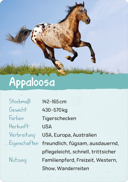 Gezeigt wird eine Innen- oder Zusatzansicht von „Naturforscher-Kids – Pferde und Ponys“. Die Darstellung zeigt einen gallopierenden Appaloosa-Hengst mit einer auffälligen, punktierten Fellzeichnung in den Farben Weiß und Braun. Im unteren Bereich befindet sich ein türkisfarbener Hintergrund mit Überschrift „Appaloosa“ in großer Schrift. Darunter folgen in klarer, übersichtlicher typografischer Anordnung Details zu Stockmaß, Gewicht, Farben, Herkunft, Verbreitung, Eigenschaften...