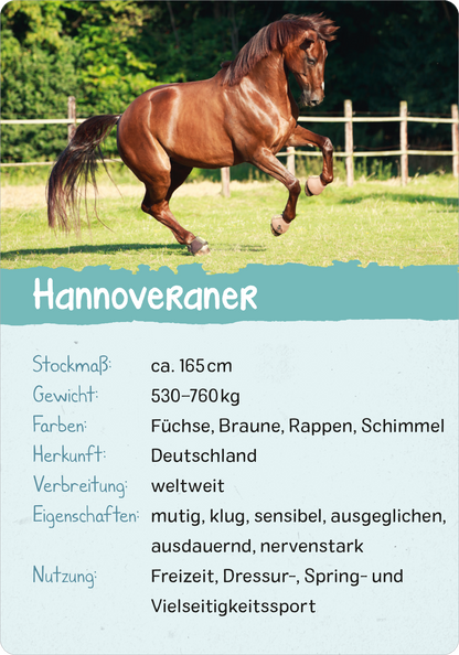 Gezeigt wird eine Innen- oder Zusatzansicht von „Naturforscher-Kids – Pferde und Ponys“. Die Ansicht zeigt ein Bild eines Hannoveraners, der fröhlich auf einer Wiese steht. Der Hintergrund ist grün und zeigt eine Koppel. Der Text ist klar strukturiert, in einer freundlichen Schriftart und hellblauen Box platziert. Die zentrale Information umfasst Angaben zu Stockmaß, Gewicht, Farben, Herkunft und Eigenschaften des Pferdes und hebt die vielseitige Nutzung hervor.