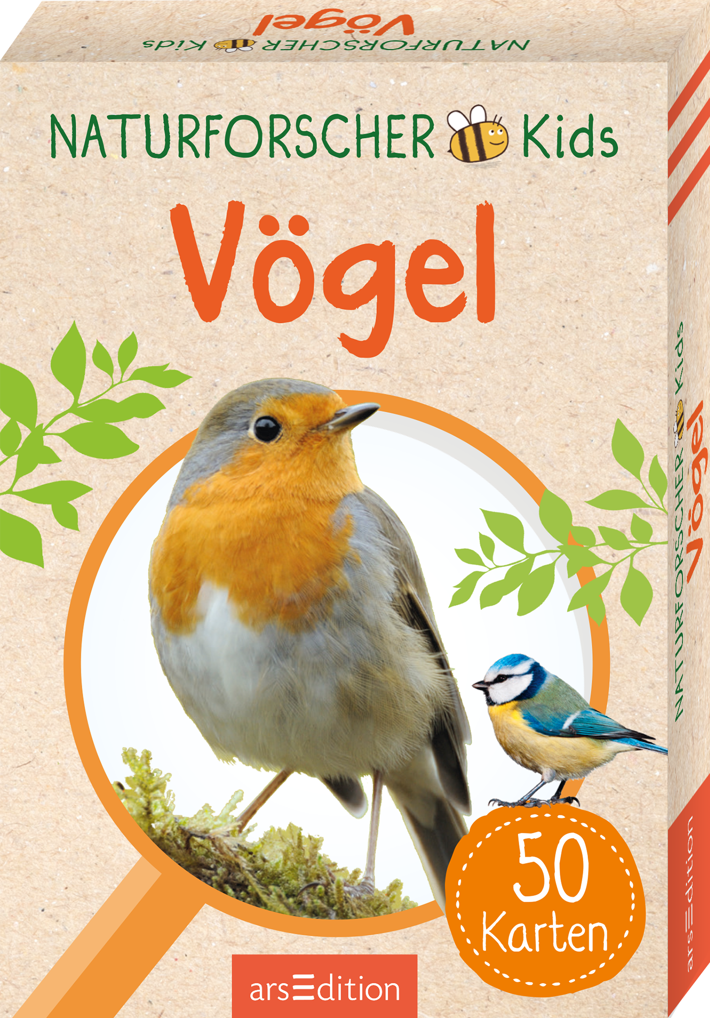 Das Buchcover zeigt zwei Vögel, darunter einen Rotkehlchen und einen Blau- oder Kohlmeisen. Der Hintergrund ist in einem hellen, natürlichen Farbton gehalten, mit grünen Blättern, die eine lebhafte Atmosphäre schaffen. Der Titel „Vögel“ ist in großem, orangefarbenem Schriftzug nach oben versetzt. Darüber steht der Text „NATURFORSCHER Kids“ in grüner Schrift. Ganz unten mittig steht der Logoschriftzug von arsEdition.