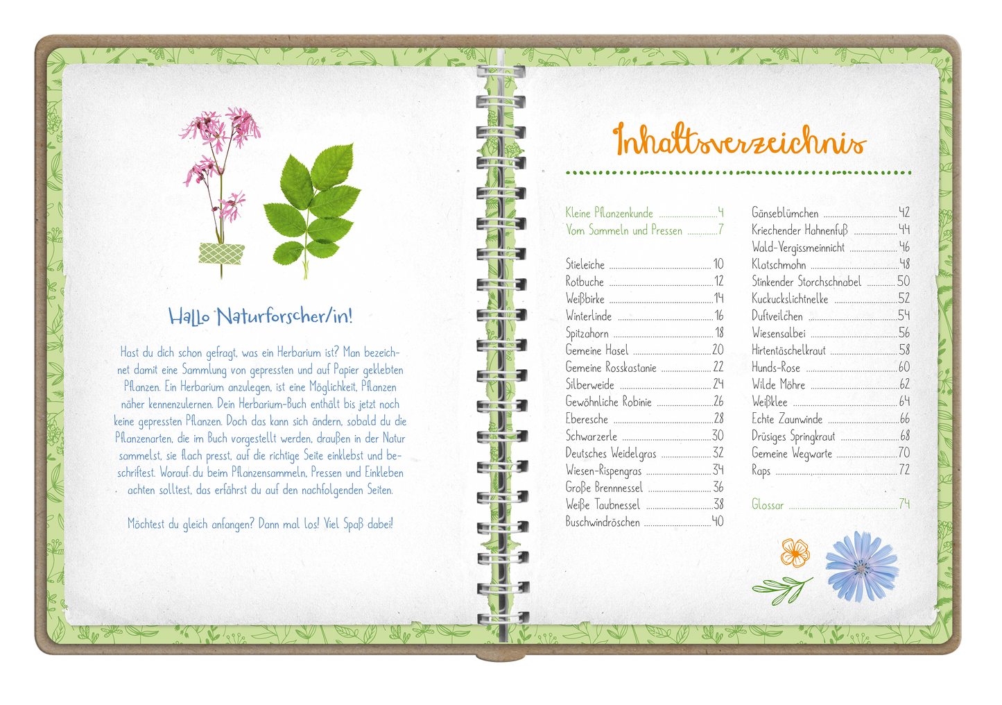 Gezeigt wird eine Innen- oder Zusatzansicht von „Naturforscher-Kids – Blüten und Blätter entdecken und sammeln“. Die Doppelseite ist in sanften Grüntönen gehalten, mit einem dekorativen Blätterrahmen. Links befindet sich ein einladender Text in blauer Schrift, der Kinder anspricht und mit einer handgezeichneten Pflanze illustriert ist. Rechts zeigt das Inhaltsverzeichnis die einzelnen Kapitelüberschriften in orangefarbener Schrift, begleitet von bunten Blumenillustrationen, die die...