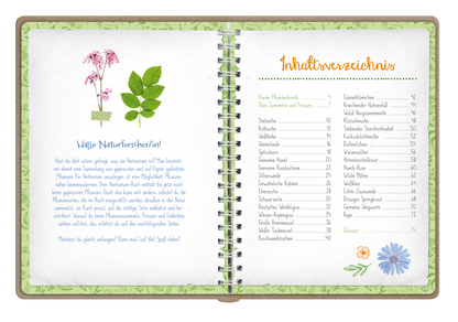 Gezeigt wird eine Innen- oder Zusatzansicht von „Naturforscher-Kids – Blüten und Blätter entdecken und sammeln“. Die Doppelseite ist in sanften Grüntönen gehalten, mit einem dekorativen Blätterrahmen. Links befindet sich ein einladender Text in blauer Schrift, der Kinder anspricht und mit einer handgezeichneten Pflanze illustriert ist. Rechts zeigt das Inhaltsverzeichnis die einzelnen Kapitelüberschriften in orangefarbener Schrift, begleitet von bunten Blumenillustrationen, die die...
