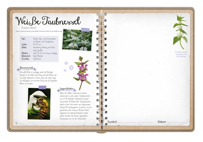 Gezeigt wird eine Innen- oder Zusatzansicht von „Naturforscher-Kids – Blüten und Blätter entdecken und sammeln“. Die Seite präsentiert die Weißbe Taubnessel mit einer handschriftlichen Überschrift in einer verspielten Schriftart. Links sind ein Bild der Pflanze und informative Textabschnitte, die in bunten Boxen hervorgehoben sind. Ein strukturierter, naturbelassener Hintergrund in sanften Farbtönen unterstützt die visuelle Klarheit. Rechts ist Platz für persönliche Notizen, um...