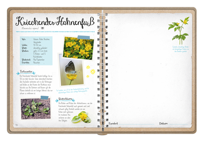 Gezeigt wird eine Innen- oder Zusatzansicht von „Naturforscher-Kids – Blüten und Blätter entdecken und sammeln“. Die Seite enthält den Titel „Kriechender Ehrenpreis“ in geschwungener, schwarzer Schrift. Darunter befindet sich ein blaues Infokästchen mit Informationen zur Pflanze. Neben textlichen Erläuterungen sind zwei Bilder abgebildet: eines zeigt gelbe Blüten, das andere eine Pflanze mit Herzform. Der Hintergrund ist in einem sanften Beige gehalten, die Typografie ist...