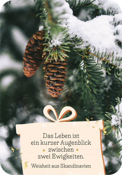 Gezeigt wird eine Innen- oder Zusatzansicht von „Adventszauber für dich“. Die Darstellung zeigt einen Tannenzweig mit einer geschlossenen Tannenzapfen, umgeben von schneebedeckten Ästen. Im Vordergrund ist ein geschnörkeltes, cremefarbenes Banner zu sehen, auf dem in dunkler, eleganter Schrift der Spruch „Das Leben ist ein kurzer Augenblick zwischen zwei Ewigkeiten“ und „Weisheit aus Skandinavien“ platziert ist. Die harmonischen Farben vermitteln eine gemütliche, winterliche...