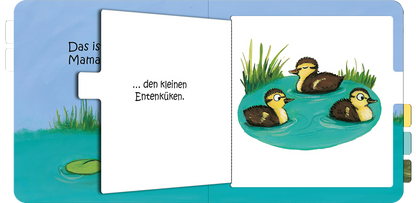 Gezeigt wird eine Innenansicht von „Das ist die Mama von …“. Die Illustration zeigt drei kleine Entenküken, die in einem blauen Teich schwimmen. Die Küken sind in sanften Brauntönen gehalten und haben gelbe Köpfe. Um sie herum sind grüne Wasserpflanzen und ein hellblauer Himmel sichtbar. Links steht in klarer, schwarzer Typografie der Satz „... den kleinen Entenküken“. Der Aufbau ist kindgerecht und farbenfroh gestaltet.