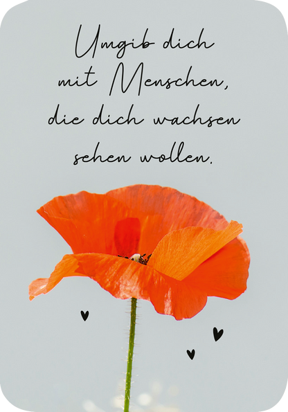 Gezeigt wird eine Innen- oder Zusatzansicht von „Mini-Coach. Hello, neuer Mut!“. Im Mittelpunkt steht ein kräftig rotblühender Mohn mit grünen Blättern. Der Hintergrund ist in sanften Grau- und pastellfarbenen Tönen gehalten. Über dem Blumenmotiv steht die handschriftlich wirkende Botschaft „Umgib dich mit Menschen, die dich wachsen sehen wollen.“ Die Schrift ist elegant und verspielt, ergänzt durch kleine schwarze Herzchen, die dem Design eine freundliche Note verleihen.