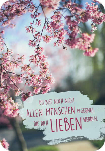 Gezeigt wird eine Innen- oder Zusatzansicht von „Sonne im Herzen“. Die Ansicht zeigt einen rosafarbenen Kirschblütenzweig, der sanft im Vordergrund erscheint, während ein unscharfer, grüner Hintergrund die Frühlingsstimmung verstärkt. Unter dem Zweig steht in verspielter, roter Schrift der Text: „Du bist noch nicht allen Menschen begegnet, die dich lieben werden!“ Der Hintergrund des Textes ist in sanftem Grau gehalten und fängt die positive Botschaft des Designs ein.