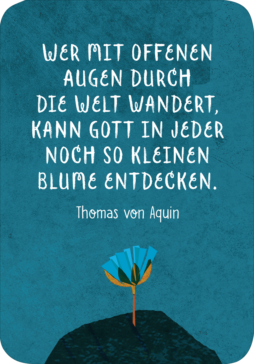 Gezeigt wird eine Innen- oder Zusatzansicht von „Segenswünsche für dich“. Der Hintergrund ist in einem kräftigen Blau gehalten, während der Text in einer verspielten, handschriftlichen Schriftart in Weiß geschrieben ist. Die zentrale Botschaft zitiert Thomas von Aquin und hebt die Bedeutung des offenen Sehens hervor. Am unteren Rand ist eine stilisierte, blaue Blume mit gelben Details abgebildet, die dem Design eine farbliche Akzentuierung verleiht.