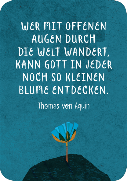 Gezeigt wird eine Innen- oder Zusatzansicht von „Segenswünsche für dich“. Der Hintergrund ist in einem kräftigen Blau gehalten, während der Text in einer verspielten, handschriftlichen Schriftart in Weiß geschrieben ist. Die zentrale Botschaft zitiert Thomas von Aquin und hebt die Bedeutung des offenen Sehens hervor. Am unteren Rand ist eine stilisierte, blaue Blume mit gelben Details abgebildet, die dem Design eine farbliche Akzentuierung verleiht.