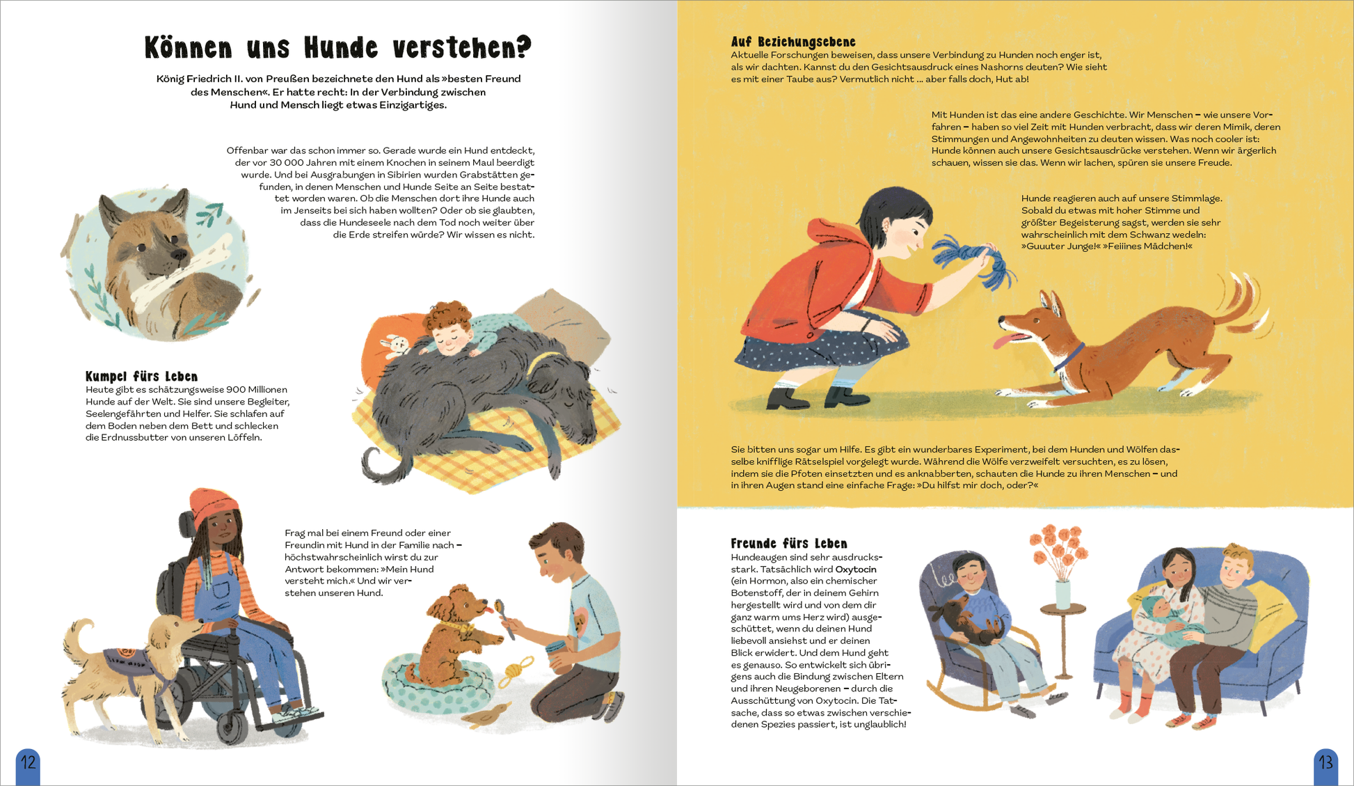 Gezeigt wird eine Innen- oder Zusatzansicht von „Die Welt der Hunde“. Die Doppelseite zeigt bunte Illustrationen von Hunden und Menschen in verschiedenen Interaktionen, darunter ein Kind mit einem Hund und eine Person in einem Rollstuhl. Der Hintergrund ist hell, mit einem warmen Gelb- und Beige-Ton, während die Textfelder in klarer, schlichter Typografie gehalten sind. Die Hauptüberschrift ist in größerem Schriftgrad, während die erklärenden Texte in gut lesbarer Schriftart...
