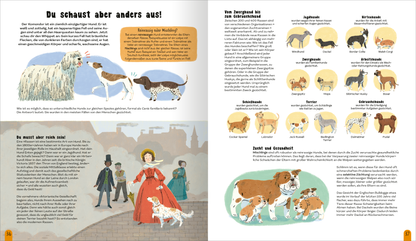 Gezeigt wird eine Innen- oder Zusatzansicht von „Die Welt der Hunde“. Die Seite enthält eine bunte und lebhafte Illustration von verschiedenen Hunderassen, umgeben von informativem Text. Auf der linken Seite ist eine historische Szene mit einem Hund und einer Frau in einem roten Kleid dargestellt, während auf der rechten Seite eine Übersicht über Hunderassen in einfachen, klaren Illustrationen präsentiert wird. Die Farben wirken freundlich und einladend, während die Typografie gut...