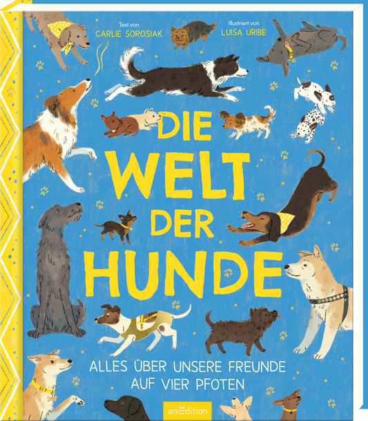 Das Buchcover zeigt eine lebendige Ansammlung von Hunden in verschiedenen Posen und Rassen, vor einem strahlend blauen Hintergrund. Die Hunde sind in abwechslungsreichen Farben und Stilen abgebildet, während der Titel „DIE WELT DER HUNDE“ in großen, gelben Buchstaben auffällt. Darunter steht der Untertitel „ALLES ÜBER UNSERE FREUNDE AUF VIER PFOTEN“ in kleinerer Schrift. In der oberen rechten Ecke befindet sich der Urhebernamen „Text von Carlie Sorosiak“ und „Illustriert von...