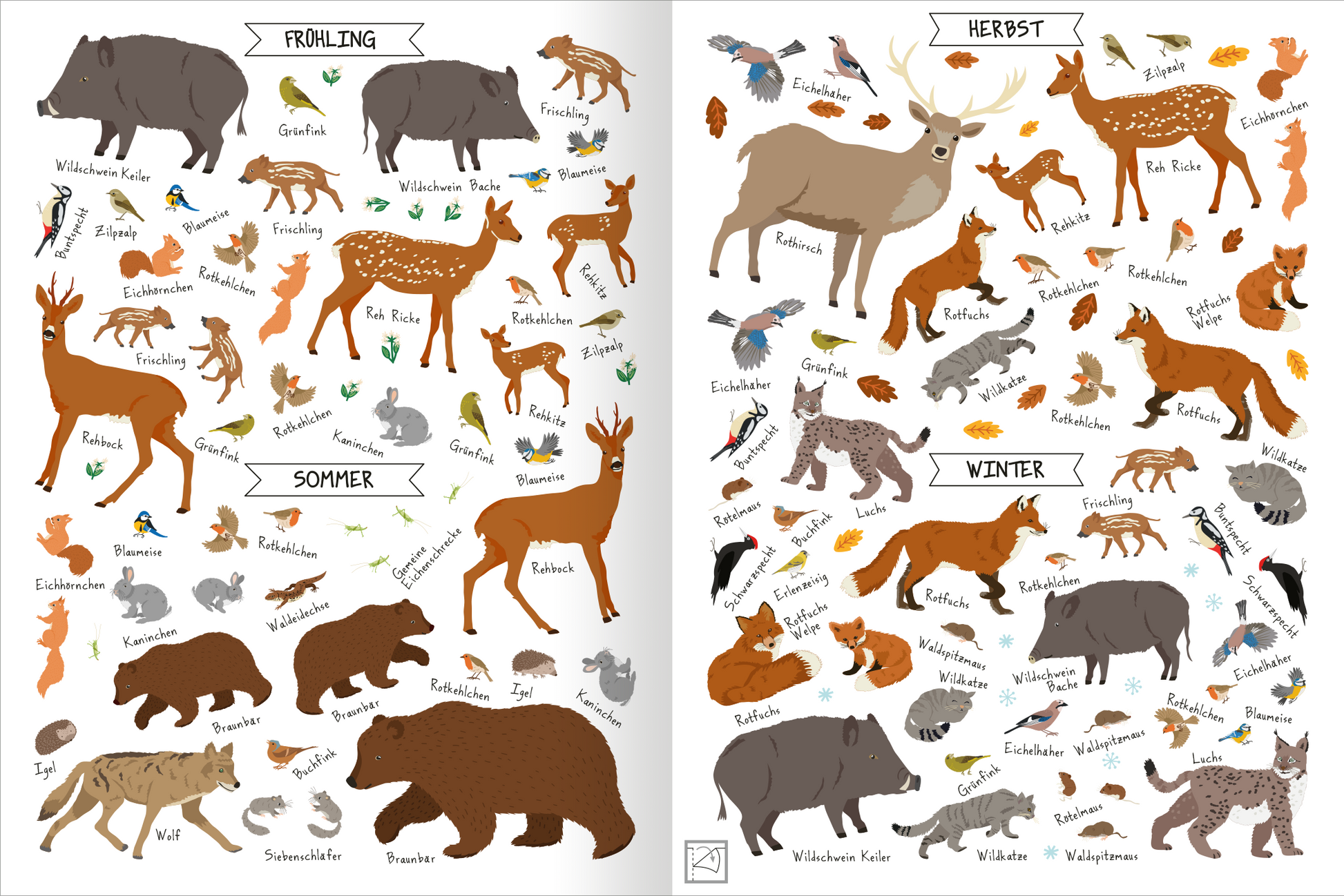 Gezeigt wird eine Innen- oder Zusatzansicht von „Naturforscher-Kids – Stickerheft Im Wald“. Die Seite ist in zwei Hälften unterteilt, die Jahreszeiten Frühling und Herbst darstellen. Jede Seite zeigt vielfältige, bunt illustrierte Tiere wie Rehe, Bären und Füchse, die in kräftigen Farben gehalten sind. Zu jedem Tier gibt es passende Beschriftungen in einer kindgerechten, klaren Schriftart. Die Hintergründe sind hell, was die Illustrationen lebhaft hervorhebt und die Interaktivität...