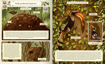 Gezeigt wird eine Innen- oder Zusatzansicht von „Tierisch gut gebaut – Von Nestern, Höhlen und anderen Tierwohnungen“. Die Seite ist reich illustriert mit lebendigen, natürlichen Grüntönen und Brauntönen. Links ist ein großes Vogelnest dargestellt, umgeben von Blättern und einem Ei. Rechts sieht man einen bunten Vogel mit einem ausgeprägten Schnabel, der auf einem Holzstamm sitzt. Die Typografie ist klar und gut lesbar, mit informativen Textboxen und Überschriften, die wichtige...