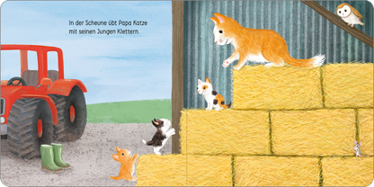 Gezeigt wird eine Innen- oder Zusatzansicht von „Hab dich lieb, kleines Küken!“. Die Illustration zeigt eine Scheunenlandschaft mit einem roten Traktor und einem Strohballenstapel. Auf den Strohballen klettern vier Katzen, darunter eine orangefarbene Mama-Katze und ihre jungen Kätzchen in verschiedenen Farben. Im Hintergrund sind gezielte Farben wie Grau und Grün zu sehen, während die Typografie links oben in einem kindgerechten, gut lesbaren Schriftstil gehalten ist.