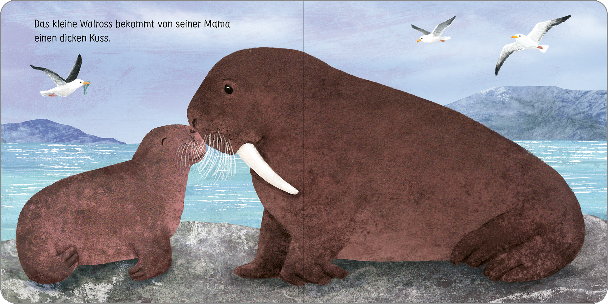 Gezeigt wird eine Innen- oder Zusatzansicht von „Komm kuscheln, kleine Robbe!“. Auf der Illustration sind zwei Walrosse in Braun- und Grautönen abgebildet, die liebevoll einander zuwenden. Der Hintergrund zeigt eine sanfte Küstenlandschaft mit blauen und grünen Elementen. Im oberen Bereich fliegen einige Möwen, während die Schrift in klarer, verspielter Typografie festhält, dass das Kleintier von seiner Mama einen dicken Kuss erhält.
