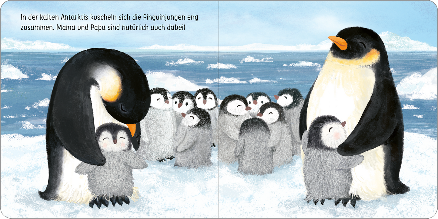 Gezeigt wird eine Innen- oder Zusatzansicht von „Komm kuscheln, kleine Robbe!“. Die Illustration zeigt mehrere niedliche, flauschige Pinguinküken, die sich eng zusammenkuscheln, um Wärme zu finden. Im Hintergrund erstreckt sich eine schneebedeckte, kalte Antarktislandschaft mit Eisflächen und sanften Farben in Blau und Weiß. Zwei adult Pinguine stehen daneben, mit liebevollen Blicken auf die Küken. Die Schrift ist klar und gut lesbar, in einem spielerischen, kindgerechten Stil.