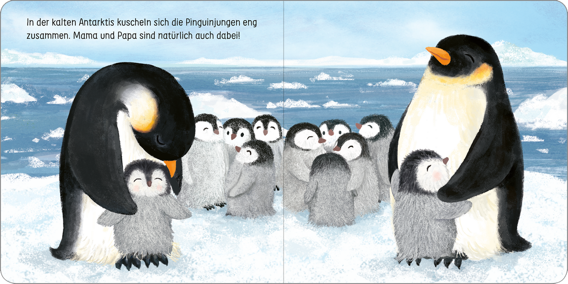 Gezeigt wird eine Innen- oder Zusatzansicht von „Komm kuscheln, kleine Robbe!“. Die Illustration zeigt mehrere niedliche, flauschige Pinguinküken, die sich eng zusammenkuscheln, um Wärme zu finden. Im Hintergrund erstreckt sich eine schneebedeckte, kalte Antarktislandschaft mit Eisflächen und sanften Farben in Blau und Weiß. Zwei adult Pinguine stehen daneben, mit liebevollen Blicken auf die Küken. Die Schrift ist klar und gut lesbar, in einem spielerischen, kindgerechten Stil.