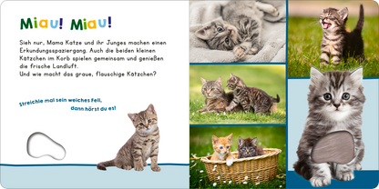 Gezeigt wird eine Innen- oder Zusatzansicht von „Hör mal rein, wer kann das sein? – Meine ersten Tiere“. Die Seite zeigt bunte Illustrationen von verschiedenen Katzen, darunter süße Kätzchen, die miteinander spielen und auf einer grünen Wiese entspannen. Der Text ist in verspielter, farbiger Typografie gehalten. Die Farben sind lebhaft und ansprechend, während eine strukturierte Fläche eine taktile Erfahrung bietet. Ein Ausschnitt lädt zum Streicheln ein, um die Interaktivität zu...