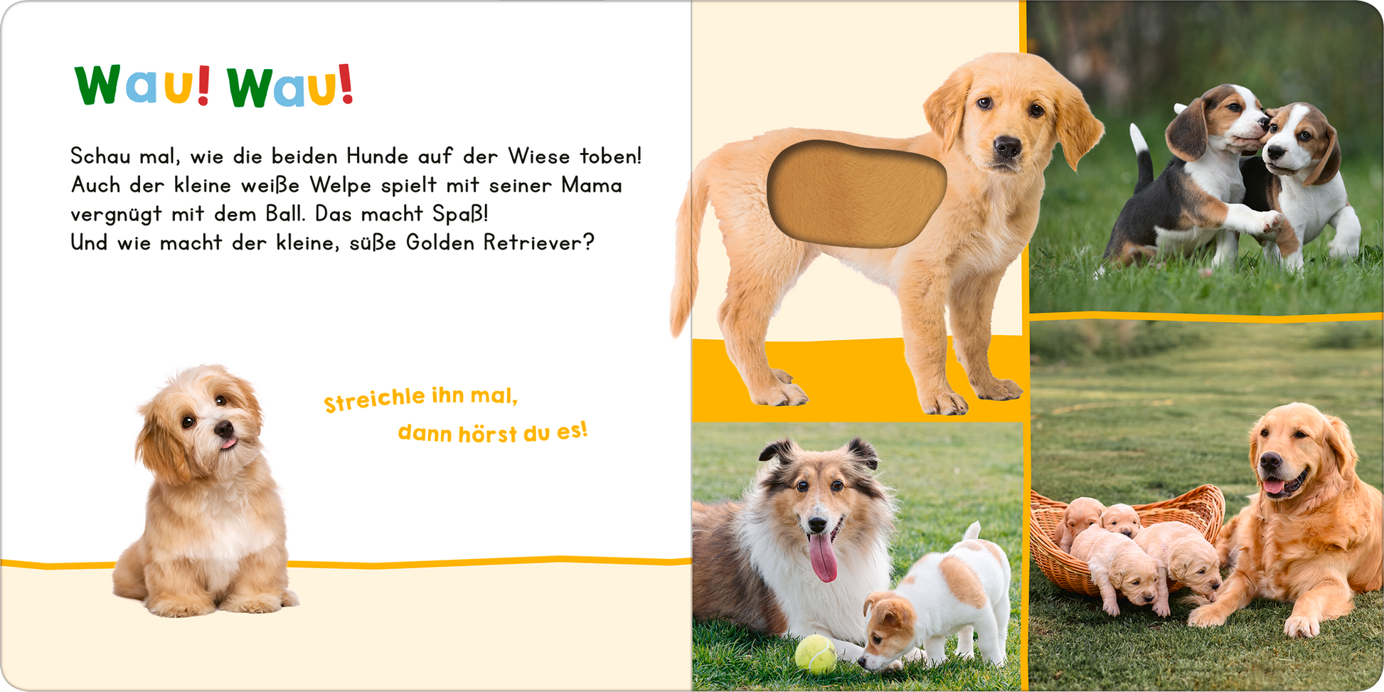 Gezeigt wird eine Innen- oder Zusatzansicht von „Hör mal rein, wer kann das sein? – Meine ersten Tiere“. Die Seite präsentiert eine farbenfrohe Gestaltung mit der Überschrift „Wau! Wau!“ in lebhaften, bunten Buchstaben. Links sind zwei fröhliche Hunde auf einer Wiese abgebildet, während die rechte Seite eine Collage von Hunden zeigt, darunter gelangweilte Welpen und ein spielender Golden Retriever. Die Schrift ist klar und gut lesbar, mit interaktiven Elementen zur Tiererfahrung.