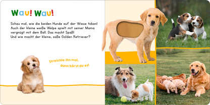Gezeigt wird eine Innen- oder Zusatzansicht von „Hör mal rein, wer kann das sein? – Meine ersten Tiere“. Die Seite präsentiert eine farbenfrohe Gestaltung mit der Überschrift „Wau! Wau!“ in lebhaften, bunten Buchstaben. Links sind zwei fröhliche Hunde auf einer Wiese abgebildet, während die rechte Seite eine Collage von Hunden zeigt, darunter gelangweilte Welpen und ein spielender Golden Retriever. Die Schrift ist klar und gut lesbar, mit interaktiven Elementen zur Tiererfahrung.