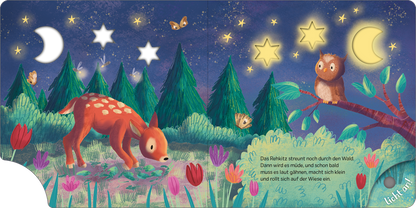 Gezeigt wird eine Innen- oder Zusatzansicht von „Mein Schlummer-Licht-Buch: Gute Nacht, Wald“. Die Illustration zeigt eine nächtliche Waldszene mit einem sanften, dunklen blauen Hintergrund und leuchtenden, gelben Sternen und einem Mond. Im Vordergrund steht ein rotbraunes Rehkitz mit weißen Punkten, umgeben von bunten Blumen in Pink und Lila. Auf der rechten Seite sitzt eine Eule auf einem Baumstock. Der Text ist in einer klaren, verspielten Schriftart in Weiß dargestellt.
