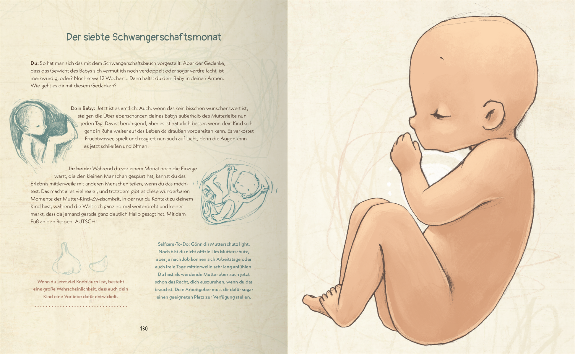 Gezeigt wird eine Innenansicht von „Du und ich. Das Mama-Buch“. Auf der linken Seite befindet sich ein illustratives Bild eines Embryos in der Gebärmutter, umgeben von sanften, beigen Farbtönen. Auf der rechten Seite steht der Titel „Der siebte Schwangerschaftsmonat“ in einer klaren, modernen Schrift. Darunter folgt ein erläuternder Text in korrektem, gut lesbarem Font. Die Farbpalette ist weich und beruhigend, um eine harmonische Atmosphäre zu schaffen.