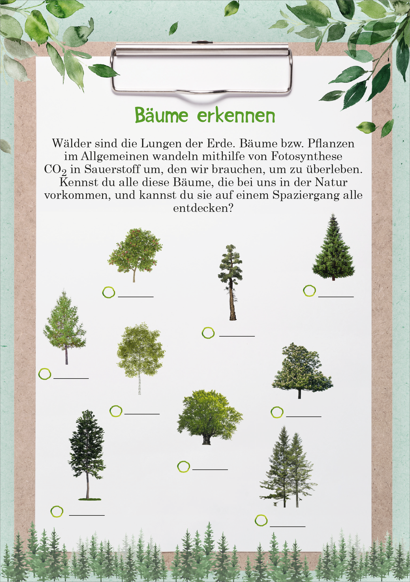 Gezeigt wird eine Innen- oder Zusatzansicht von „Naturforscher-Kids – Umwelt-Aktionen“. Das Bild zeigt eine Übersicht von verschiedenen Bäumen, darunter eine Vielfalt an Arten in grünen Farbtönen. In einer organischen, handgezeichneten Stilrichtung sind die Bäume abgebildet, die auf einem hellen Hintergrund angeordnet sind. Der Titel „Bäume erkennen“ steht prominent oben in einer kinderfreundlichen Schriftart in lebhaftem Grün. Am Rand sind Blattmuster sichtbar, die die...