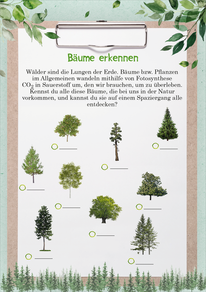 Gezeigt wird eine Innen- oder Zusatzansicht von „Naturforscher-Kids – Umwelt-Aktionen“. Das Bild zeigt eine Übersicht von verschiedenen Bäumen, darunter eine Vielfalt an Arten in grünen Farbtönen. In einer organischen, handgezeichneten Stilrichtung sind die Bäume abgebildet, die auf einem hellen Hintergrund angeordnet sind. Der Titel „Bäume erkennen“ steht prominent oben in einer kinderfreundlichen Schriftart in lebhaftem Grün. Am Rand sind Blattmuster sichtbar, die die...