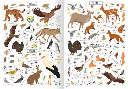 Gezeigt wird eine Innen- oder Zusatzansicht von „Naturforscher-Kids – Stickerheft Heimische Tierwelt“. Die beiden Seiten sind lebhaft und farbenfroh gestaltet, mit Illustrationen verschiedener Tiere und Pflanzen, die jeweils in Kategorien wie „Berge“, „Wiese“, „Herbst“ und „Nadelwald“ eingeteilt sind. Die Zeichnungen sind in sanften Erdtönen gehalten, während die Schrift eine einfache, klare Typografie verwendet, die gut lesbar ist. Die Anordnung der Elemente sorgt für...