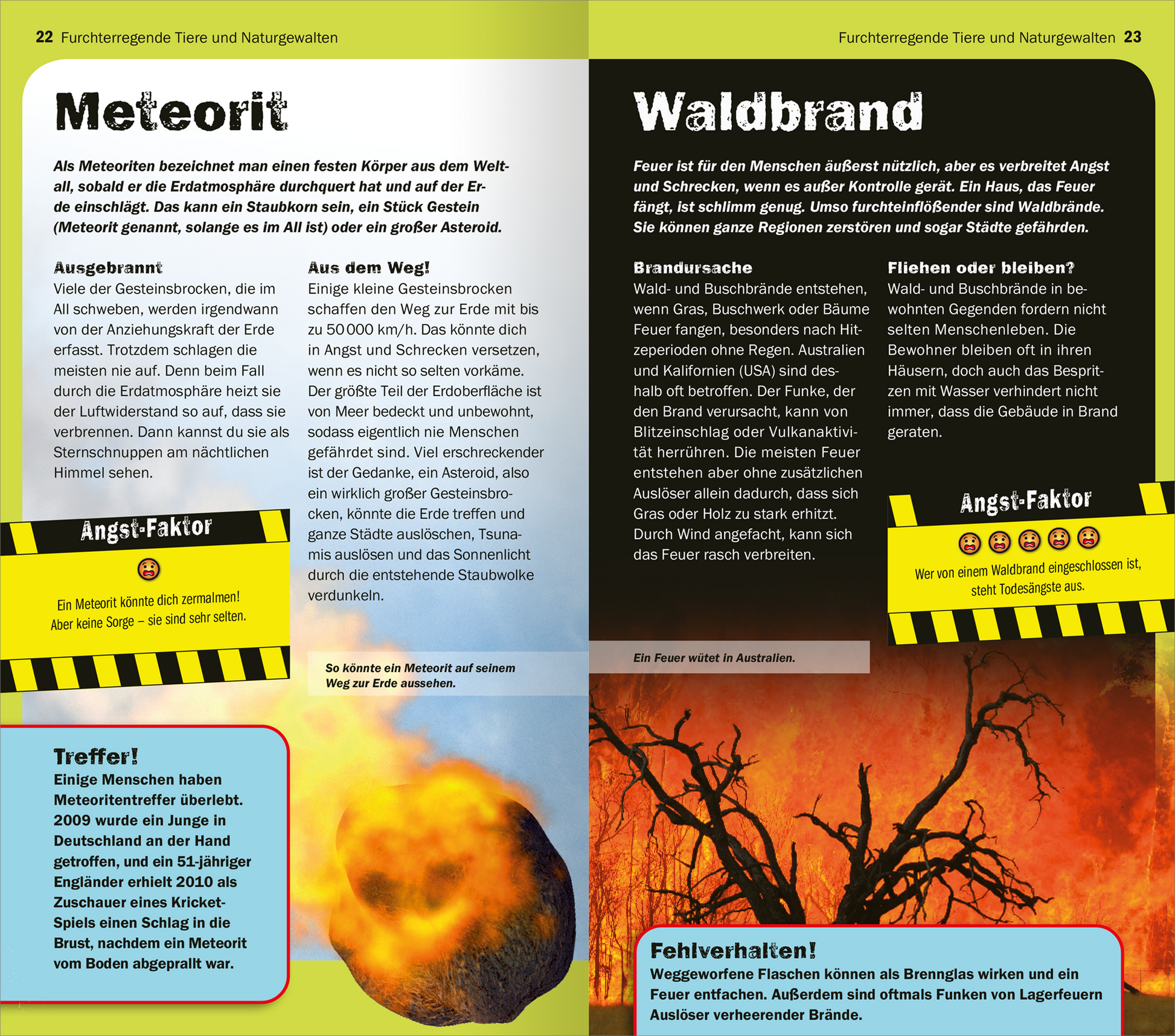 Gezeigt wird eine Innen- oder Zusatzansicht von „Die 100 furchterregendsten Dinge der Welt“. Die Seiten zeigen die Themen „Meteoriten“ und „Waldbrand“. Die linke Seite präsentiert einen Meteoriten mit auffälligem Text in großen, fettgedruckten Buchstaben in Gelb auf Schwarz. Die rechte Seite beschreibt einen Waldbrand, illustriert mit einer feurigen Grafik. Der Hintergrund ist hell, während die Textgestaltung lebendig und kontrastreich ist, um die Aufmerksamkeit auf die...