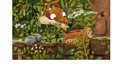 Gezeigt wird eine Innen- oder Zusatzansicht von „Die große Welt der Krabbeltiere“. Die Illustration zeigt einen bunten Wald mit einem neugierigen Fuchs, umgeben von verschiedenen Pflanzen und Krabbelwesen. Die Farben sind überwiegend grün, braun und lebhafte Akzentfarben. Die Typografie ist spielerisch und gut lesbar, mit Labels, die die abgebildeten Tiere benennen. Es gibt eine Vielzahl von Details, die die lebendige Natur darstellen und zur Erkundung einladen.