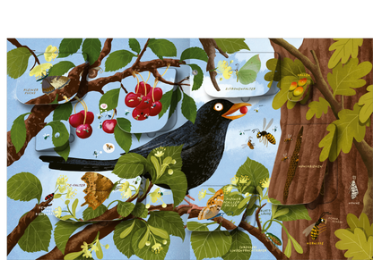 Gezeigt wird eine Innenansicht von „Die große Welt der Krabbeltiere“. Die Illustration zeigt einen lebendigen Baum mit grünen Blättern und bunten, roten Kirschen. In der Mitte sitzt ein schwarzer Vogel, der einen roten Beerenpickt. Im Hintergrund ist ein blauer Himmel zu sehen. Auf den Ästen befinden sich verschiedene Insekten, die mit ihren Namen beschriftet sind. Die Farbpalette ist frisch und einladend, während die typografischen Elemente klar und gut lesbar sind.