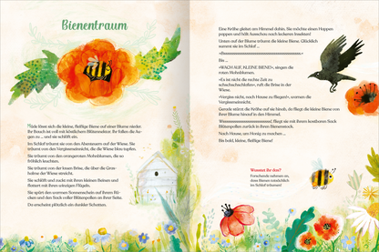 Gezeigt wird eine Innenansicht von „Geschichtenschatz für 4-Jährige“. Die Seite präsentiert eine sanfte, blassorange Hintergrundfarbe, verziert mit bunten Aquarellillustrationen von Blumen, insbesondere einer großen roten Mohnblume und einer summenden Biene. Die Typografie ist groß und verschnörkelt, das Wort „Bienentraum“ hebt sich durch eine grüne Schriftfarbe hervor. Der Text ist in einem klaren, gut lesbaren Stil gesetzt, um die kleine Geschichte ansprechend und einladend...