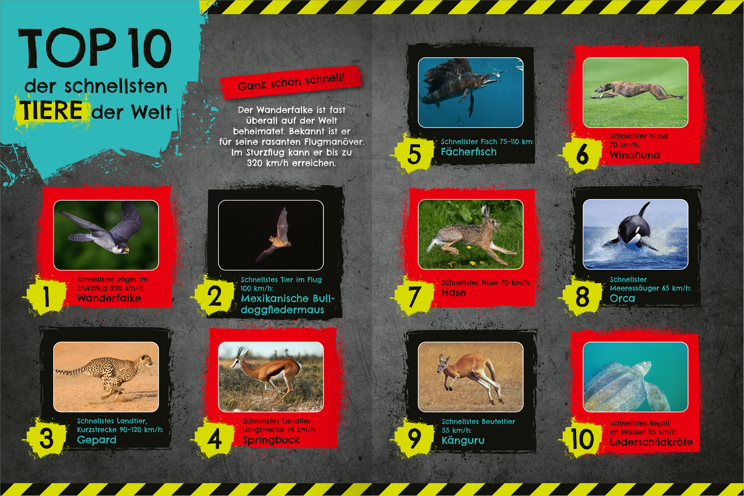 Gezeigt wird eine Innen- oder Zusatzansicht von „Das schnellste Stickerheft der Welt“. Die Übersicht zeigt die „TOP 10 der schnellsten Tiere der Welt“ mit Bildern und passenden Beschreibungen. Die Auflistung wurde in bunten Kästen platziert, wobei Rot und Schwarz dominieren. Die Überschrift ist groß und deutlich in blauer Schrift gehalten. Zu jedem Tier sind Informationen über Geschwindigkeiten und weitere Merkmale in klarer, schwarzer Schrift auf farbigen Hintergründen...