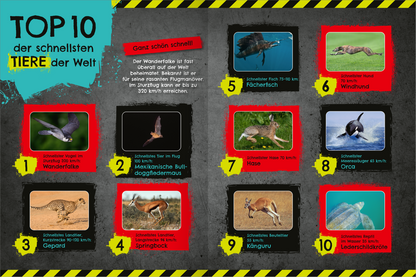 Gezeigt wird eine Innen- oder Zusatzansicht von „Das schnellste Stickerheft der Welt“. Die Übersicht zeigt die „TOP 10 der schnellsten Tiere der Welt“ mit Bildern und passenden Beschreibungen. Die Auflistung wurde in bunten Kästen platziert, wobei Rot und Schwarz dominieren. Die Überschrift ist groß und deutlich in blauer Schrift gehalten. Zu jedem Tier sind Informationen über Geschwindigkeiten und weitere Merkmale in klarer, schwarzer Schrift auf farbigen Hintergründen...