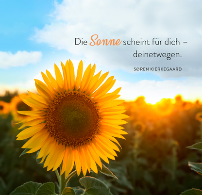 Gezeigt wird eine Innen- oder Zusatzansicht von „365 Tage Sonne im Herzen“. Im Vordergrund ist eine leuchtende Sonnenblume zu sehen, die in warmen Gelbtönen strahlt. Die Blütenblätter sind kräftig ausgeformt und heben sich vor einem sanft verschwommenen Hintergrund ab. Rechts erscheint der Text „Die Sonne scheint für dich – deinetwegen.“ in einer eleganten, modernen Schriftart, wobei „Sonne“ in einem zurückhaltenden Rosaton hervorgehoben wird. Darunter steht der Name...