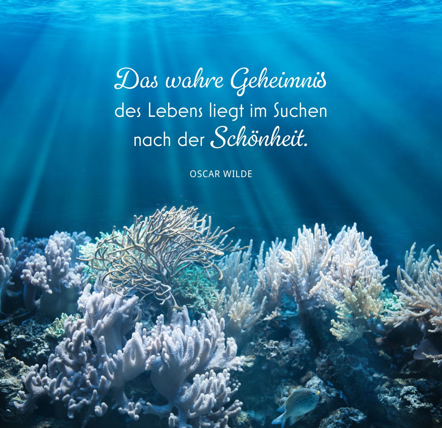 Gezeigt wird eine Innen- oder Zusatzansicht von „Mehr Meer, bitte!“. Der Hintergrund zeigt eine Unterwasserlandschaft mit verschiedenen Korallen in sanften Pastellfarben. Oben strahlt diffuses Licht durch die Wasseroberfläche, was eine beruhigende Atmosphäre erzeugt. In der oberen Bildhälfte ist der Zitattext von Oscar Wilde in eleganter, geschwungener Schrift platziert: „Das wahre Geheimnis des Lebens liegt im Suchen nach der Schönheit.“ Die Farbgestaltung ist harmonisch und...