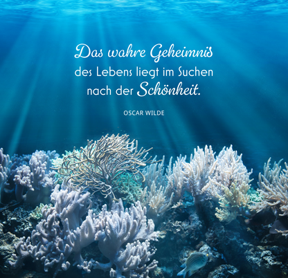 Gezeigt wird eine Innen- oder Zusatzansicht von „Mehr Meer, bitte!“. Der Hintergrund zeigt eine Unterwasserlandschaft mit verschiedenen Korallen in sanften Pastellfarben. Oben strahlt diffuses Licht durch die Wasseroberfläche, was eine beruhigende Atmosphäre erzeugt. In der oberen Bildhälfte ist der Zitattext von Oscar Wilde in eleganter, geschwungener Schrift platziert: „Das wahre Geheimnis des Lebens liegt im Suchen nach der Schönheit.“ Die Farbgestaltung ist harmonisch und...