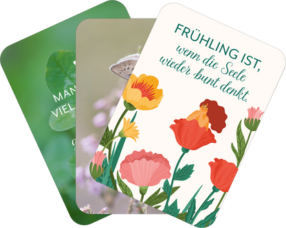 Gezeigt wird eine Innen- oder Zusatzansicht von „Wiesenglück“. Drei Karten sind übereinander angeordnet. Die obere Karte zeigt einen Zitattext in Grün auf einem hellen Hintergrund: „FRÜHLING IST, wenn die Seele wieder bunt denkt.“ Die zweite Karte präsentiert ein Detail eines Schmetterlings auf einem grünen Hintergrund, während die unterste Karte mit einem Blattdesign von verschiedenen Pflanzen in sanften Grüntönen verziert ist. Die Schrift ist klar und einladend.