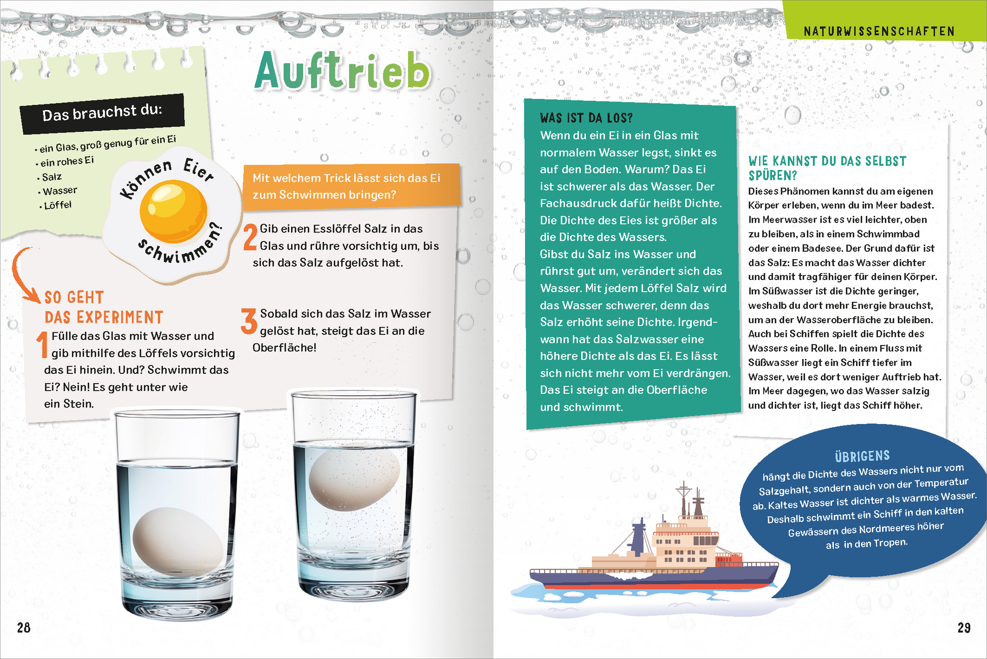 Gezeigt wird eine Innen- oder Zusatzansicht von „Science &amp; Kids – Geniale Experimente“.