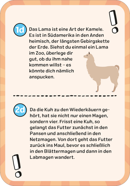 Gezeigt wird eine Innen- oder Zusatzansicht von „Das wilde Tier-Quiz“. Die Seite ist in einem hellen, orangefarbenen Hintergrund gestaltet und enthält zwei Informationskästen. Jeder Kasten ist durch eine grafische Umrandung hervorgehoben und zeigt eine Illustration eines Tieres neben einem Textblock. Die Schrift ist klar und gut lesbar, mit einer Mischung aus großen und kleinen Schriftarten. Wichtige Informationen sind durch Ausrufezeichen und fettgedruckte Schriftart gekennzeichnet.