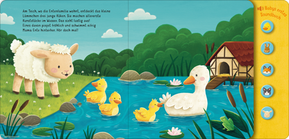 Gezeigt wird eine Innen- oder Zusatzansicht von „Hör mal, so klingen die Tierkinder!“. Die Illustration zeigt ein niedliches, weißes Schaf am Ufer eines kleinen Gewässers, umgeben von bunten Entenküken und einer Ente. Rechts ist ein gemütliches, kleines Haus mit rotem Dach sichtbar, während im Hintergrund grüne Hügel und auffällige Wolken den Himmel schmücken. Die Farbpalette ist hell und freundlich, mit sanften Pastelltönen. Der Text ist in klarer, leicht lesbarer Schrift...